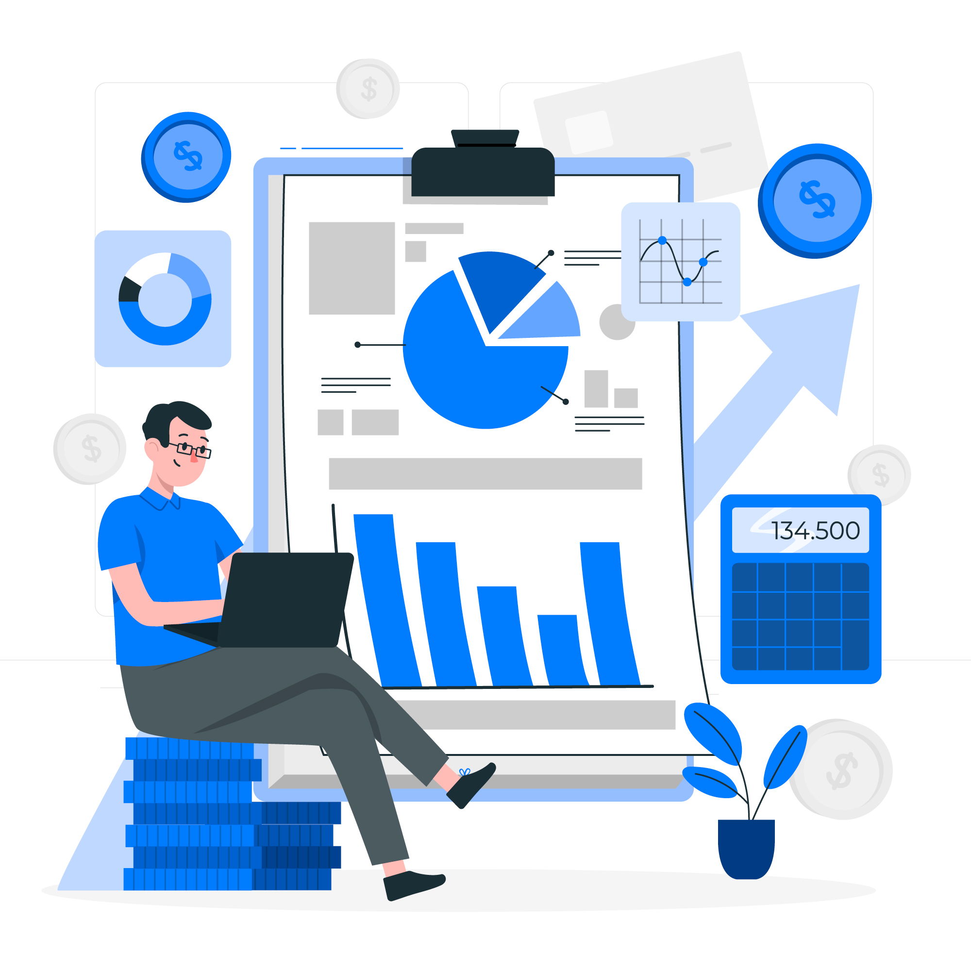 Accounting Systems Development