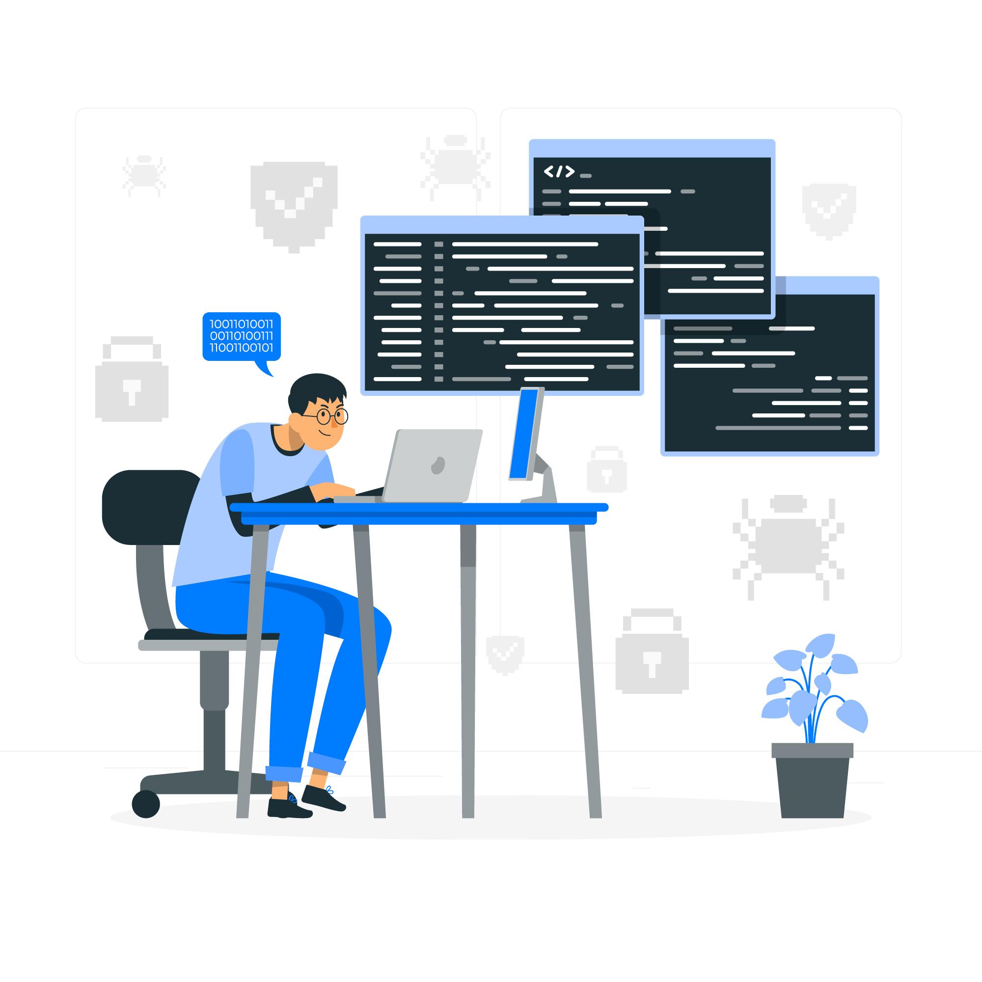 Custom Software Development Graphic